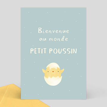 Carte félicitations naissance Poussin