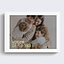 Produits 100% personnalisables Album photo paysage