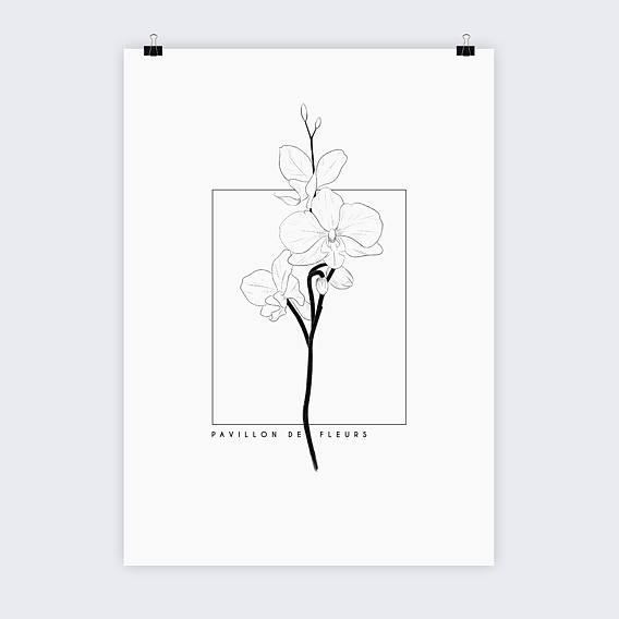 Poster personnalisé Orchidée