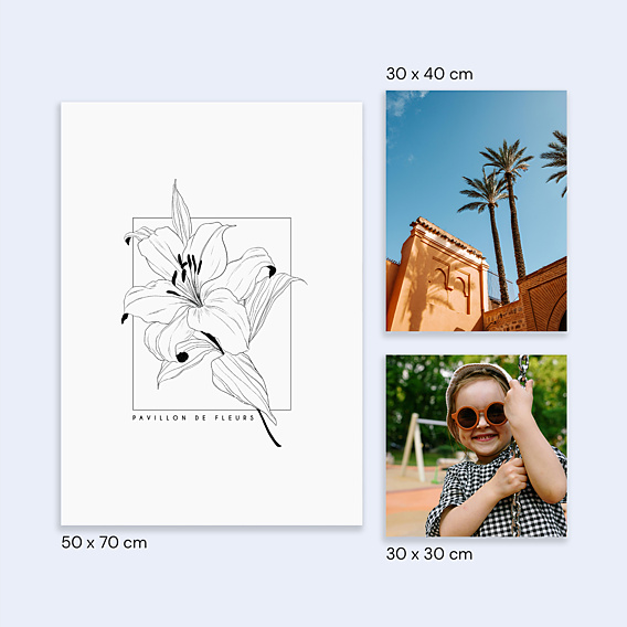 Poster famille Fleur de Lys