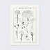 Poster famille Herbier
