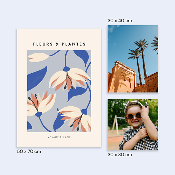 Poster famille Fleurs Rétro d'Asie