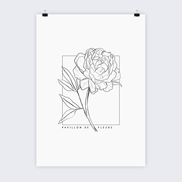 Affiche Déco Pivoine