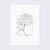 Poster famille Pivoine