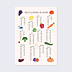 Poster famille Fruits et Légumes de Saison