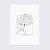 Poster famille Pivoine