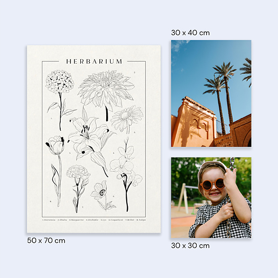 Poster famille Herbier