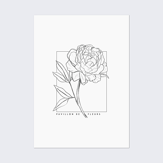 Poster famille Pivoine