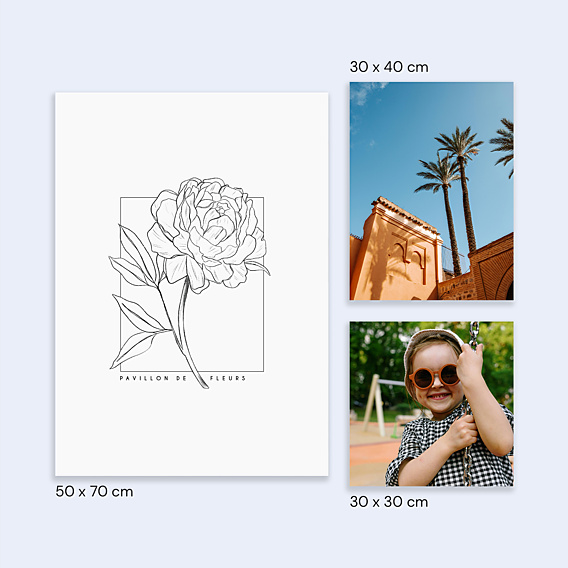 Poster famille Pivoine