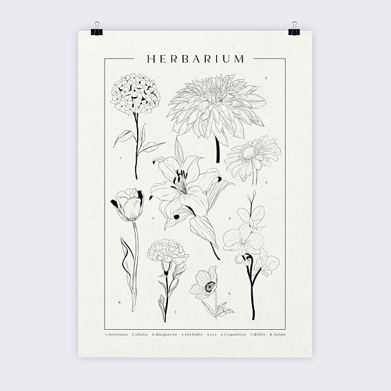 Affiche famille Herbier Recto