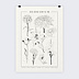 Poster personnalisé Herbier Recto