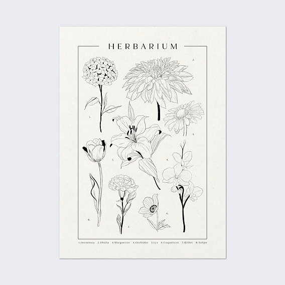 Poster famille Herbier