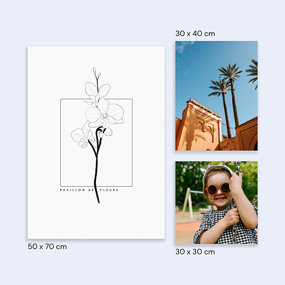 Poster famille Orchidée