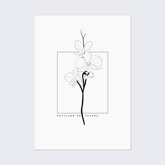 Poster famille Orchidée