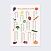 Poster famille Fruits et Légumes de Saison
