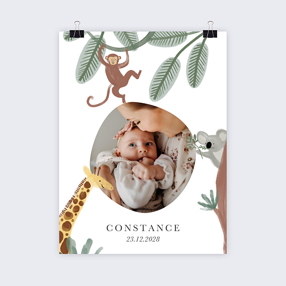 Affiche naissance Amis de la jungle