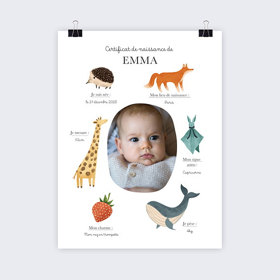 Affiche Naissance Certificat Complet