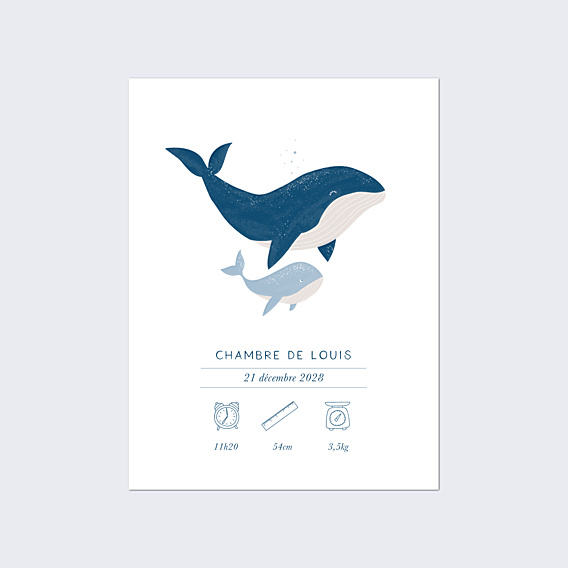 Affiche Naissance Pictogrammes Baleineau
