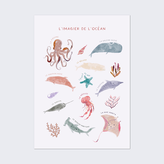 Affiche Naissance Imagier Océan
