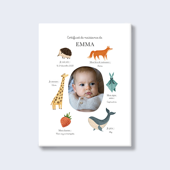 Affiche Naissance Certificat Complet