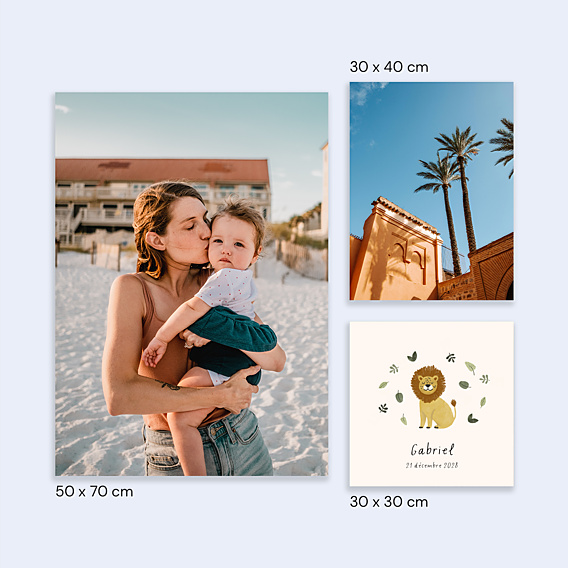 Affiche Naissance Petit Lion