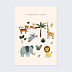 Affiche Naissance Imagier Savane