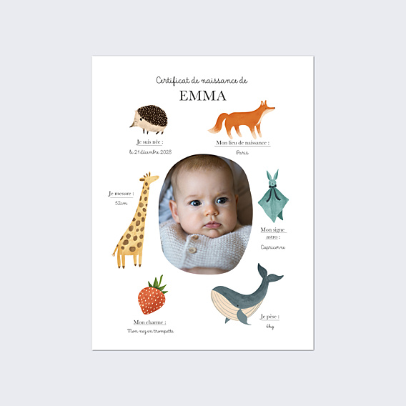 Affiche Naissance Certificat Complet