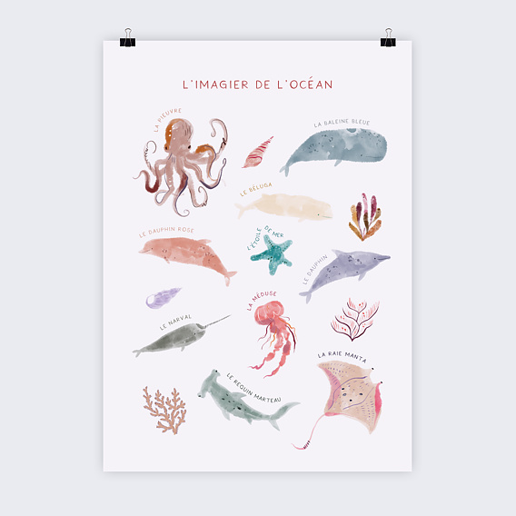 Affiche naissance Imagier Océan Recto