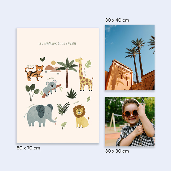 Affiche Naissance Imagier Savane