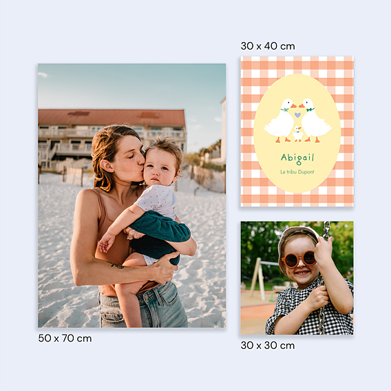 Affiche Naissance Famille Oie