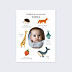 Affiche Naissance Certificat Complet