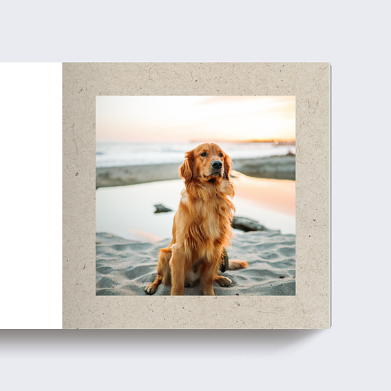 Album photo anniversaire Anniversaire Chiné Page 4