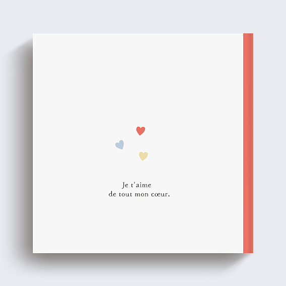 Album photo anniversaire Amour Verso