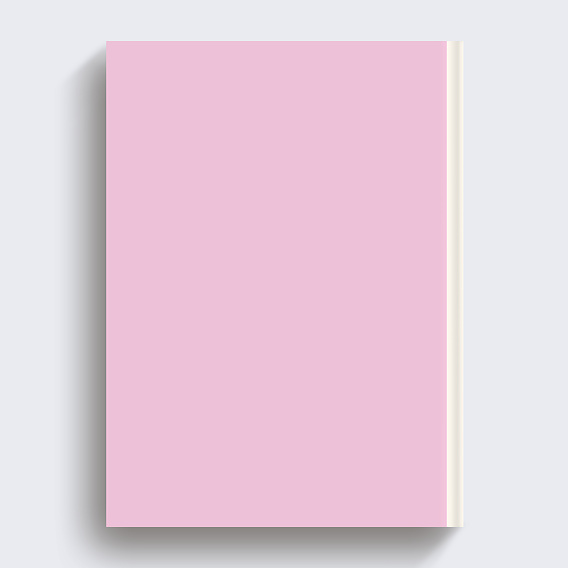 Album photo anniversaire Illustration Verso