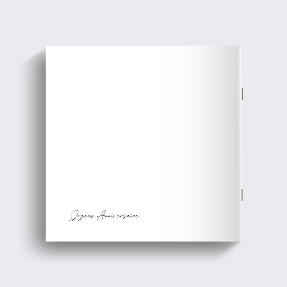 Album photo anniversaire Belle Époque Page 15