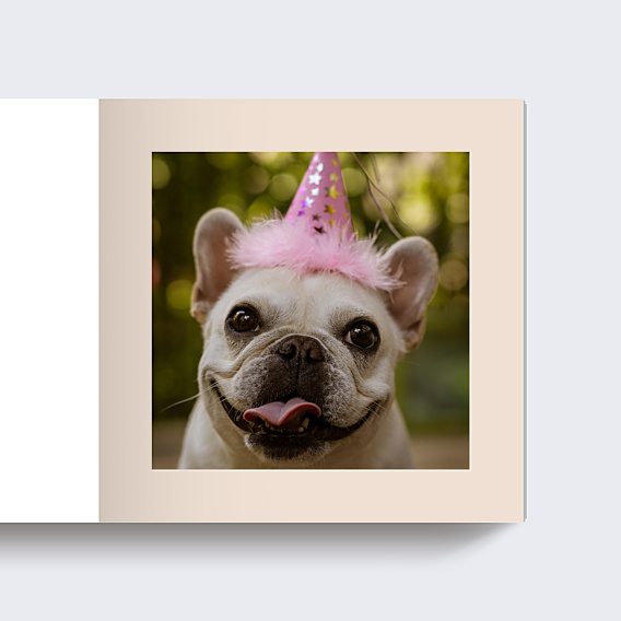 Album Photo Anniversaire Étiquette Poudrée