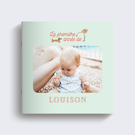 Album Photo Bébé Première année de Bébé (14 photos) - Popcarte