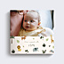 Album photo bébé Jolie jungle
