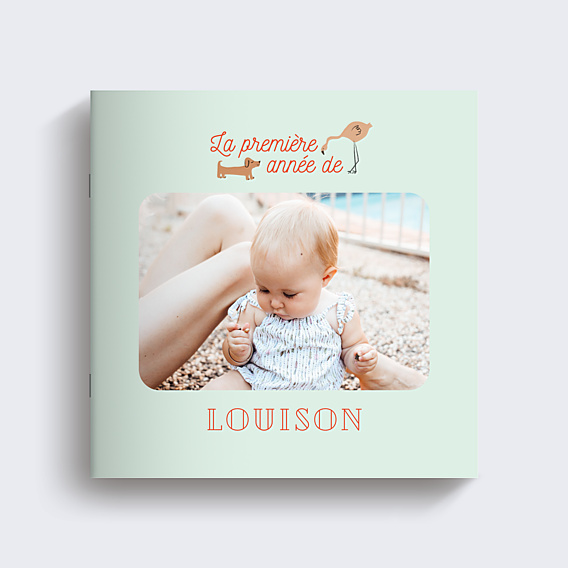 Album photo bébé Première Année de Bébé (14 photos)