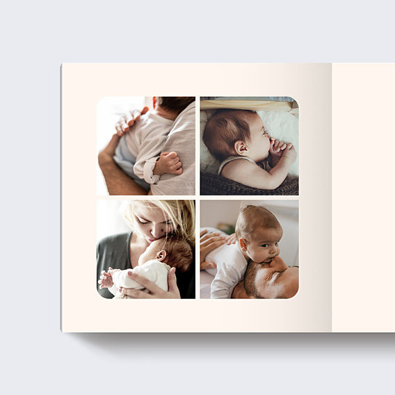 Album photo bébé Mésange Couronne (26 Photos)