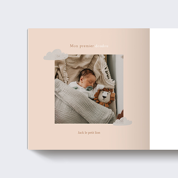 Album photo bébé Mes premières fois