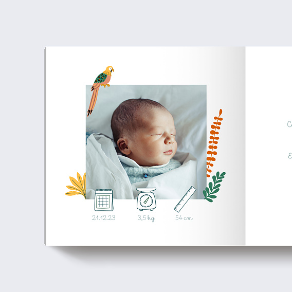 Album photo bébé Dans la Jungle Page 1