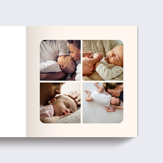 Album photo naissance Mésange Couronne (26 Photos) Page 4