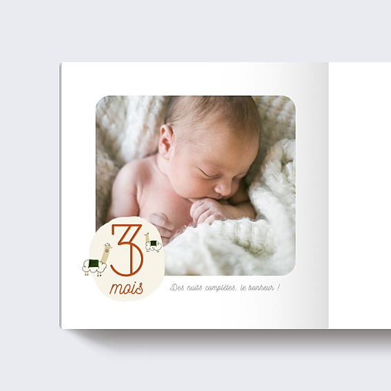 Album photo bébé Première Année de Bébé (14 photos)