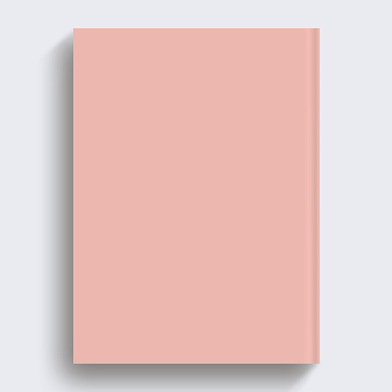 Album photo bébé Grossesse coloré Verso