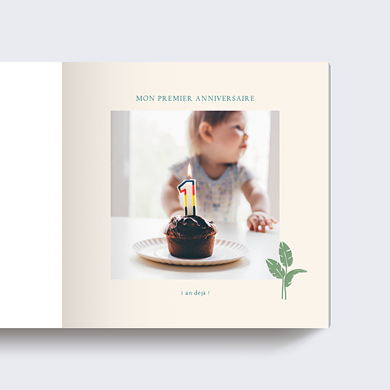 Album photo bébé Hamac x Popcarte