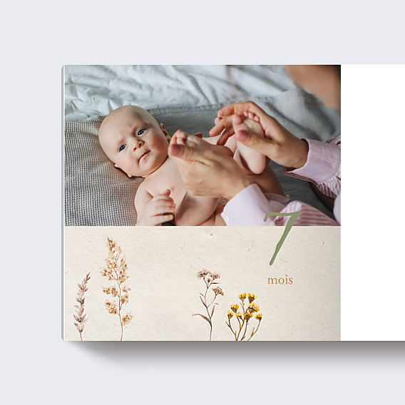 Album photo bébé Fleurs séchées