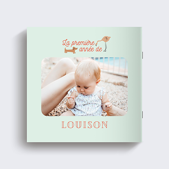 Album photo bébé Première Année de Bébé (14 photos)