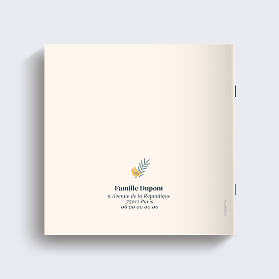 Album photo naissance Mésange Couronne (26 Photos) Page 15