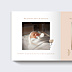 Album photo bébé Mes premières fois